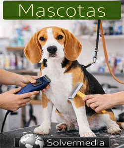 Software TPV para peluquerías de mascotas