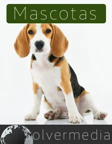 Software Tpv para gestión de Peluquerías de Mascotas